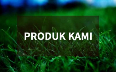 Produk Terbaru Input